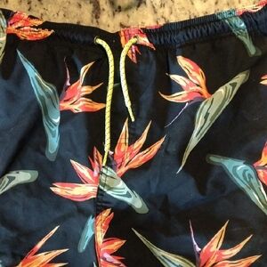 Ocean Current Multicolor Swim Shorts